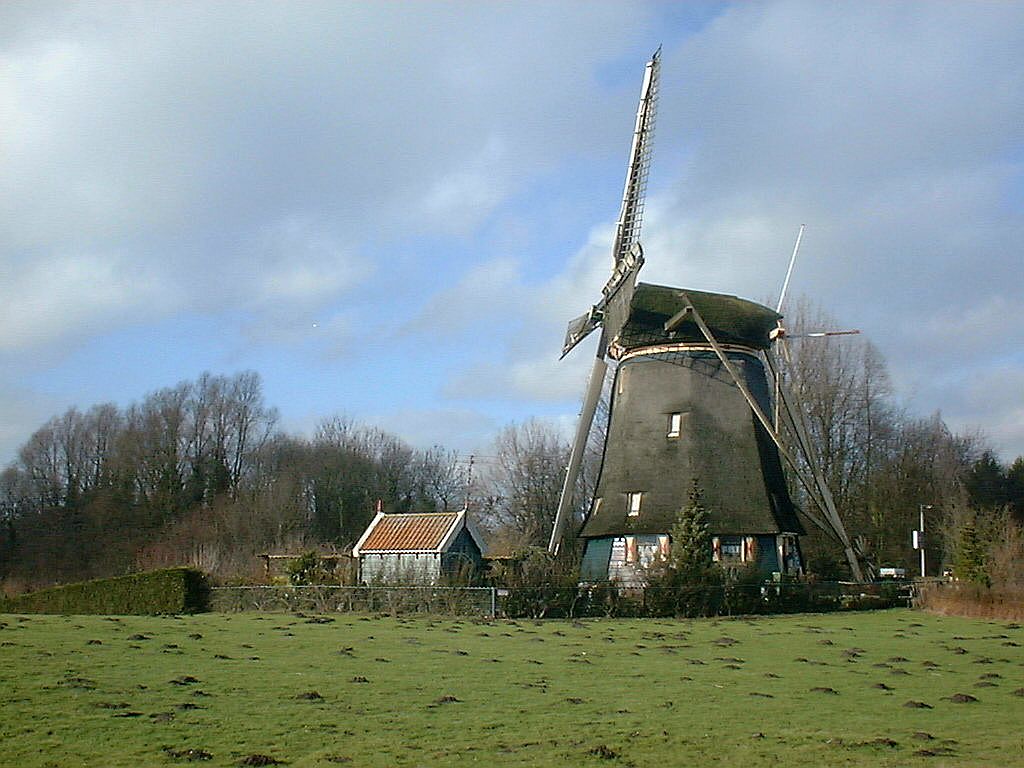 Riekermolen - Amsterdam