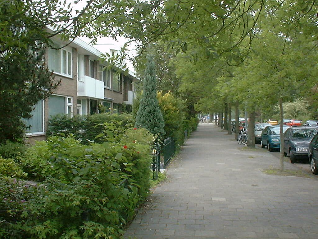 Van der Boechorststraat - Amsterdam