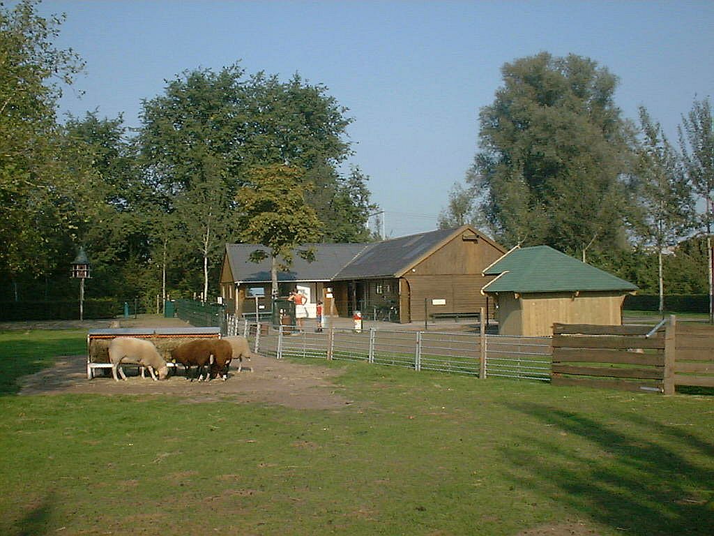 Kinderboerderij - Amsterdam
