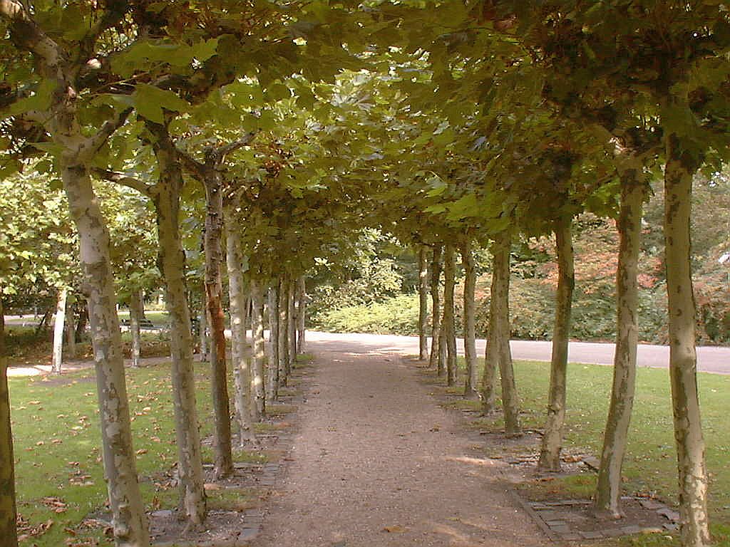 Haagkunst 2 - Amsterdam