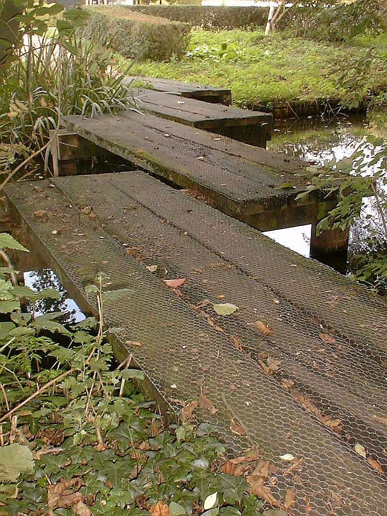 Moerasbos - Amsterdam