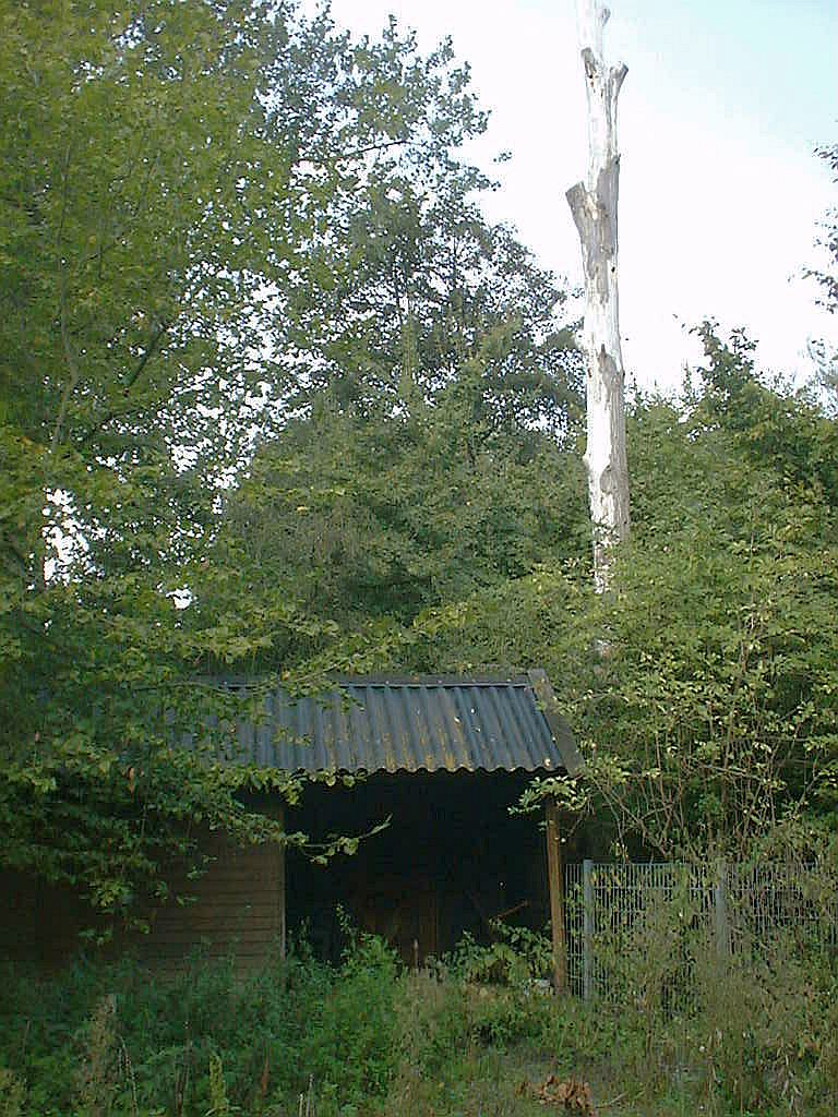 Oude Dierentuin - Amsterdam