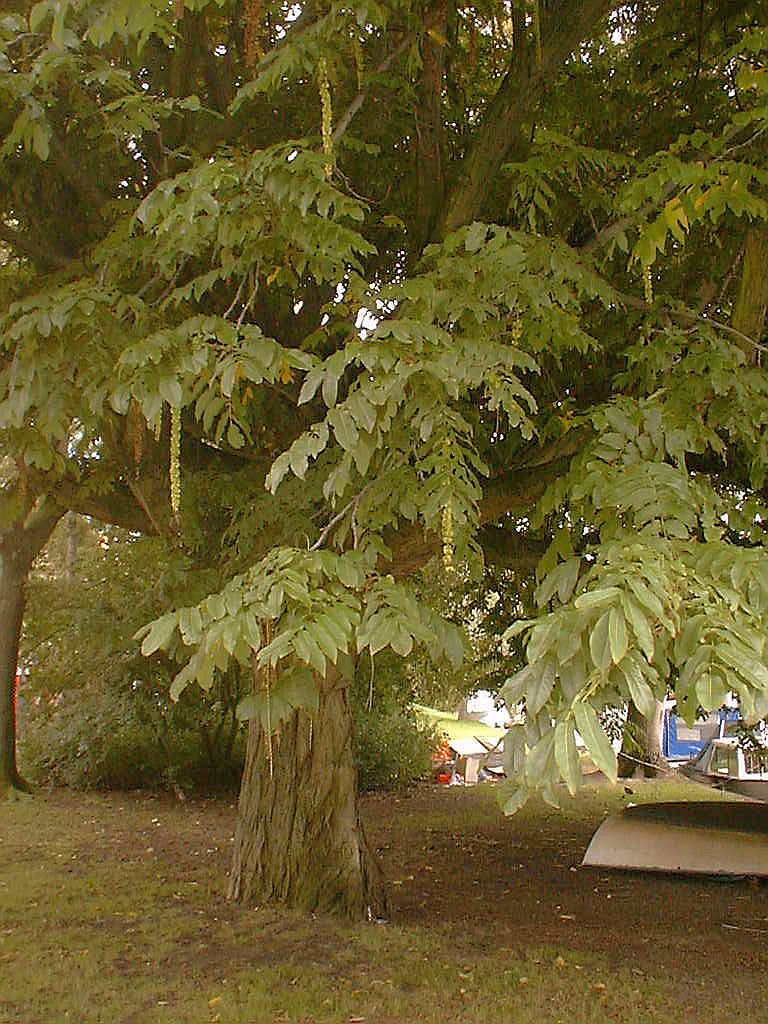 Stadionkade - Amsterdam