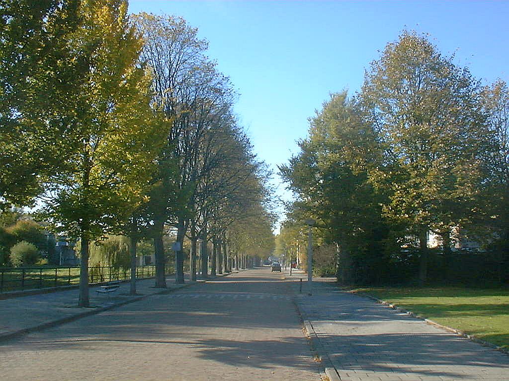 Zuidelijke Wandelweg - Amsterdam