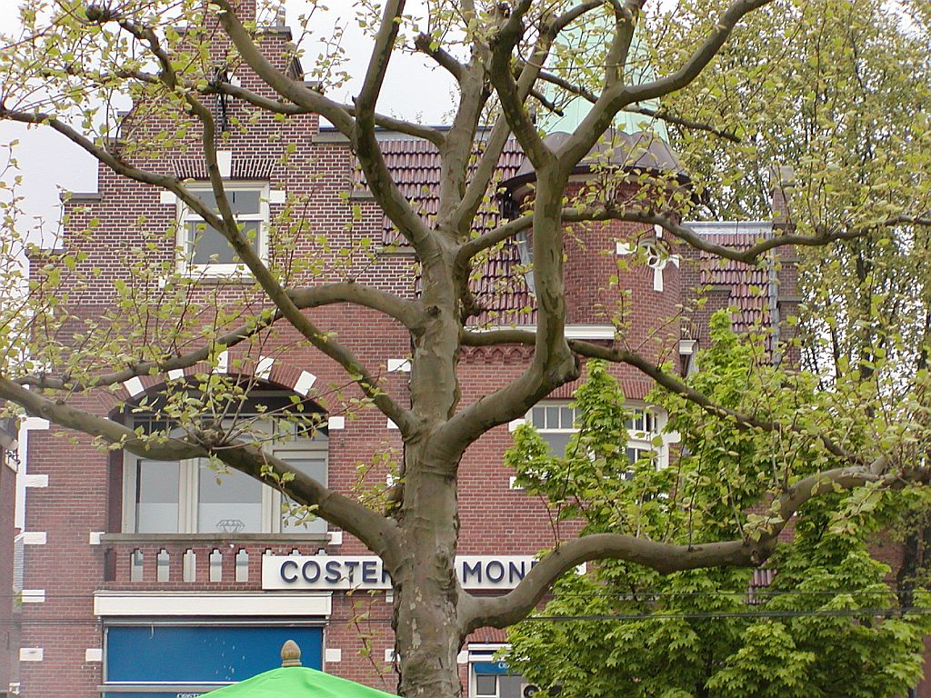 Paulus Potterstraat - Coster Diamonds - Amsterdam