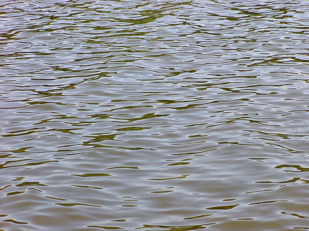 De Bosbaan - Amsterdam