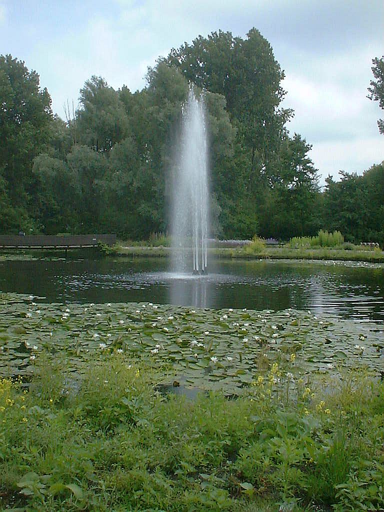 Vaste plantentuin - Amsterdam