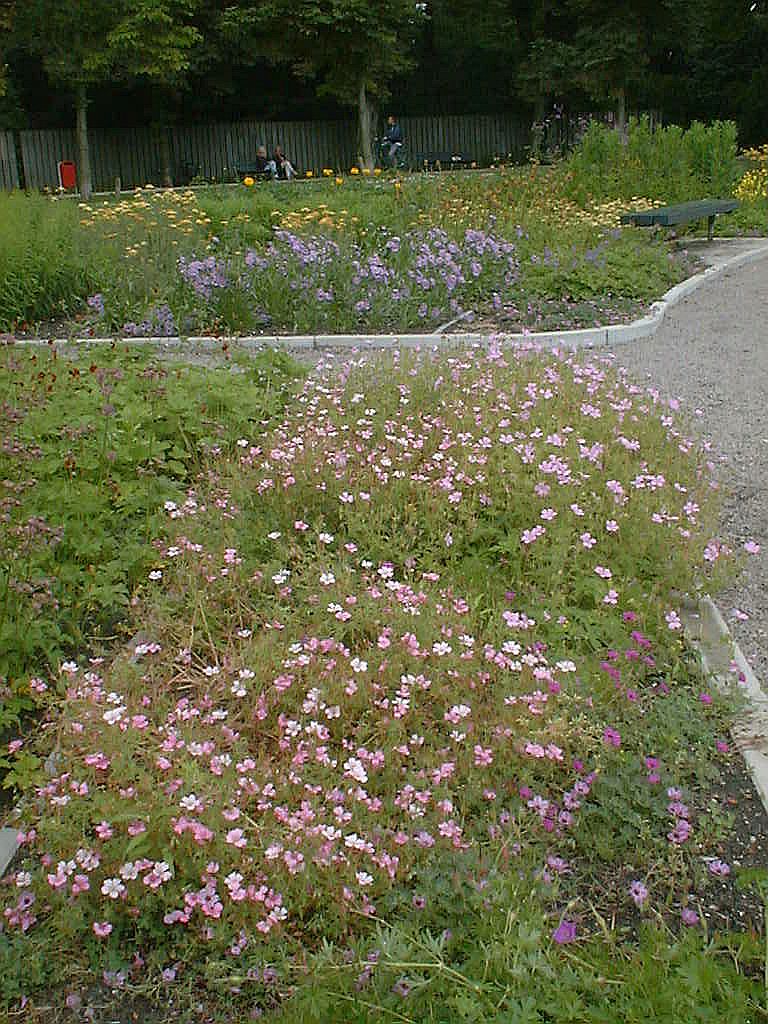 Vaste plantentuin - Amsterdam