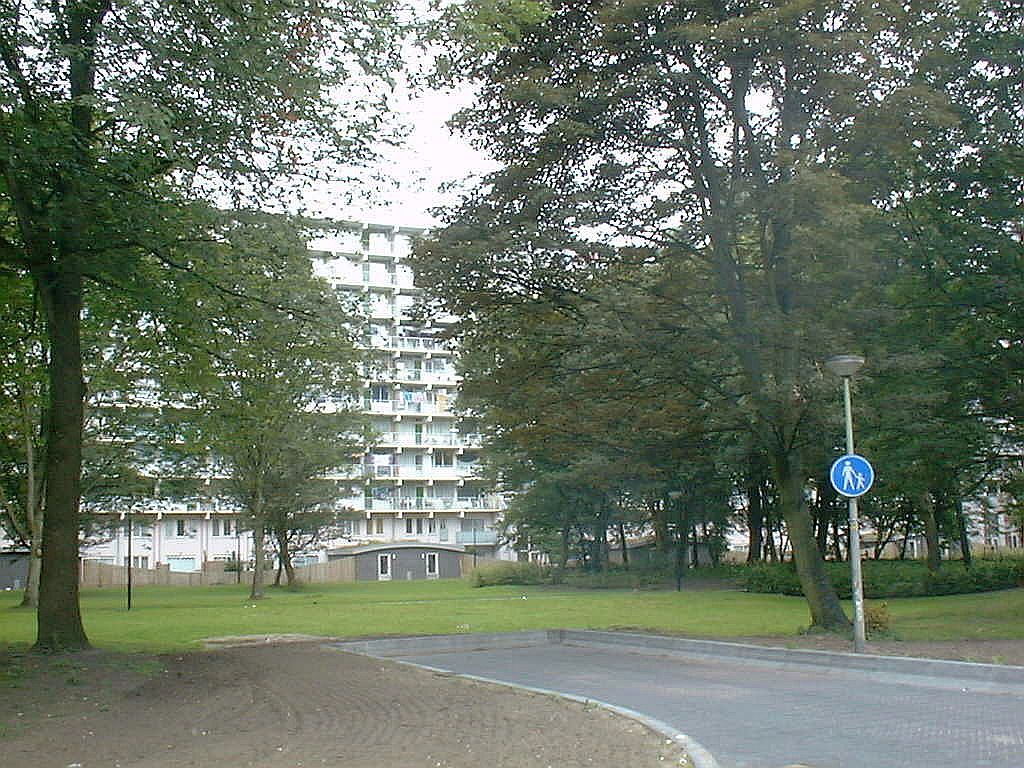 Haag en Veld - Amsterdam