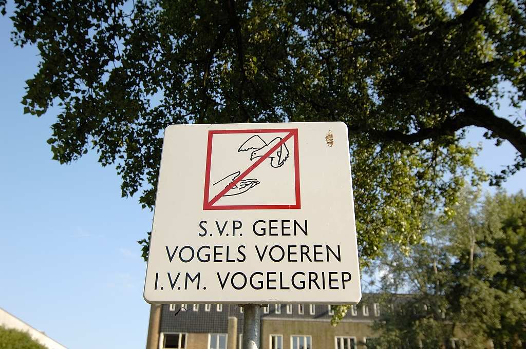 Jozef Israelskade - Ter hoogte van de Saffierstraat - Amsterdam