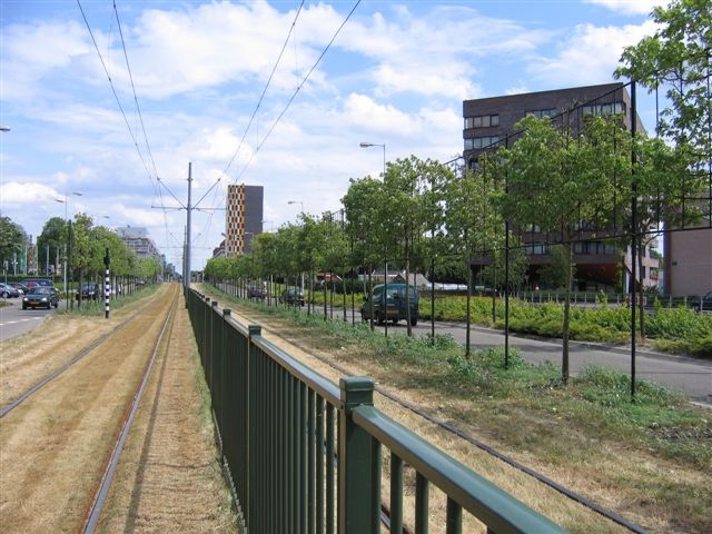 Pieter Calandlaan - Amsterdam