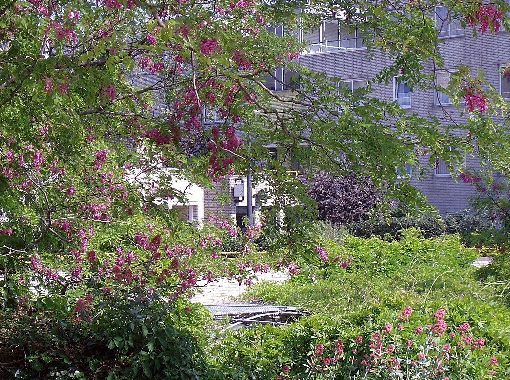Bijlmerplein - Tuinen vml Stadsdeelkantoor - Amsterdam