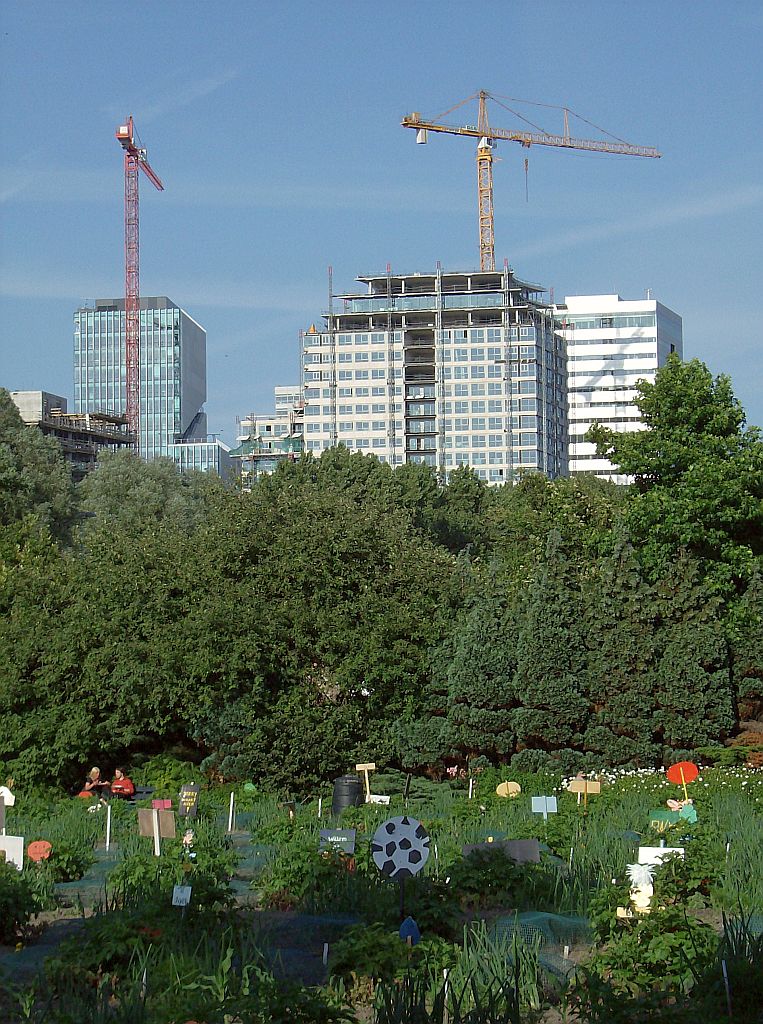 Dr. L. Alma - (School)Tuin en New Amsterdam - Nieuwbouw - Amsterdam