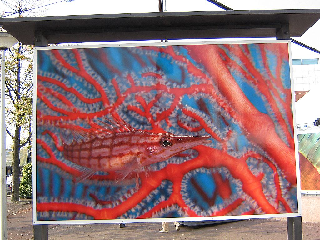 Planet Ocean - Amsterdam