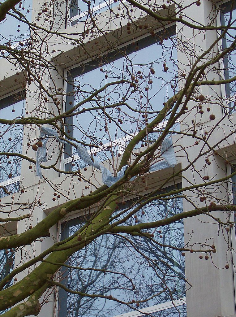 Stadsdeelkantoor - Amsterdam