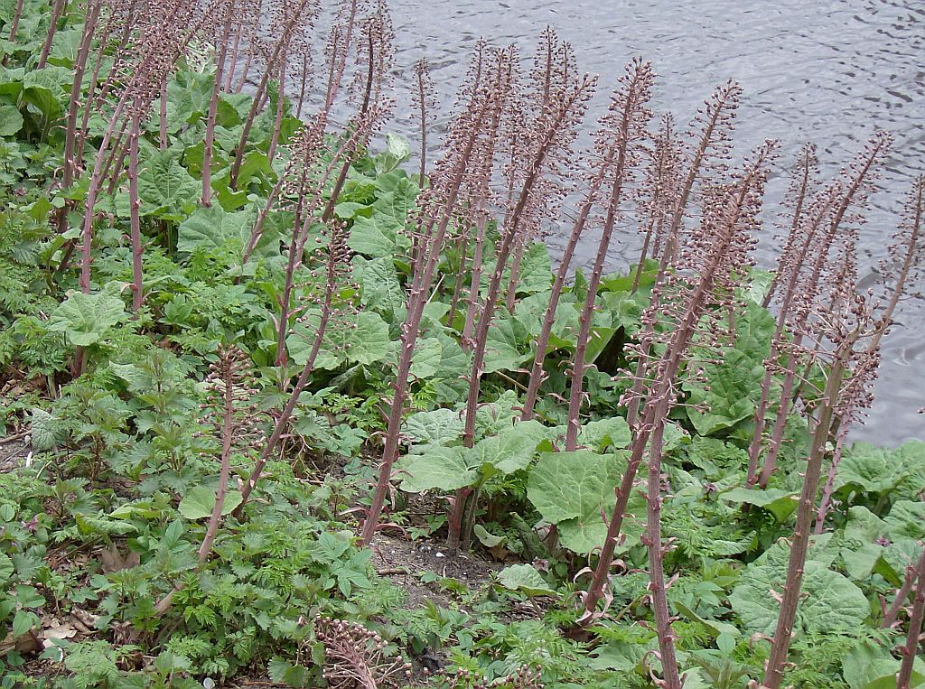 Spoorslag - Amsterdam