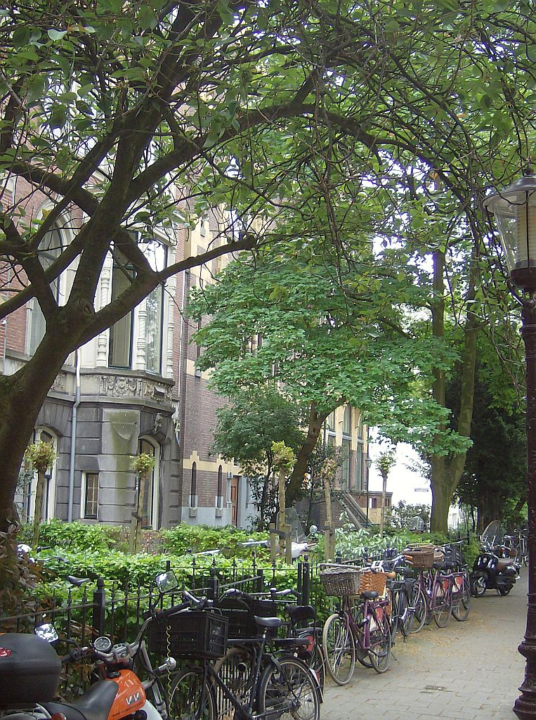Vondelstraat - Amsterdam