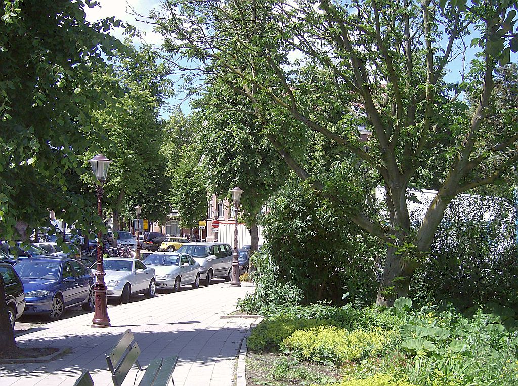 Sophialaan - Amsterdam