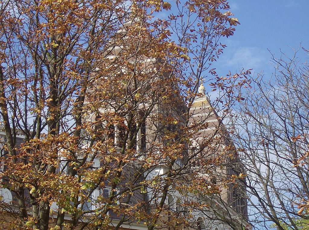 Kerk OLV van den Rozenkrans (Obrechtkerk) - Amsterdam