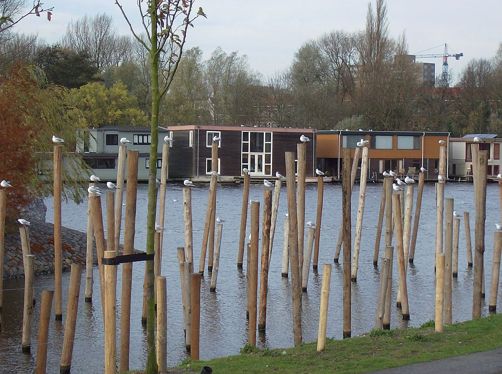 Schinkel - Amsterdam