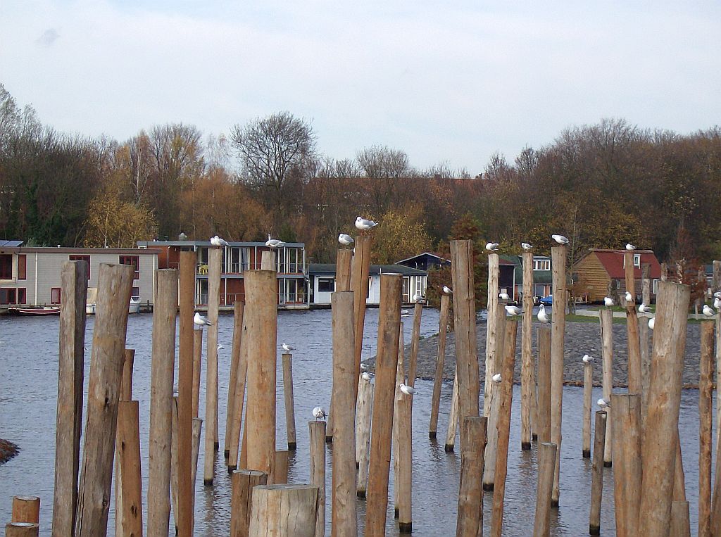 Schinkel - Amsterdam