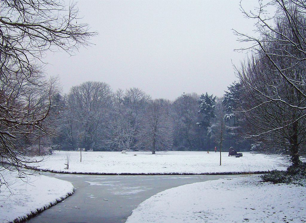 Grote speelweide - Amsterdam