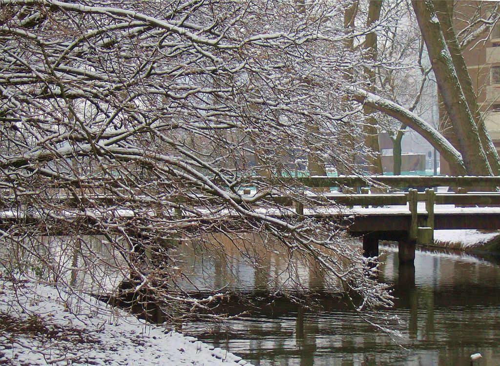 Brug 449 - Beethovenvijver - Amsterdam