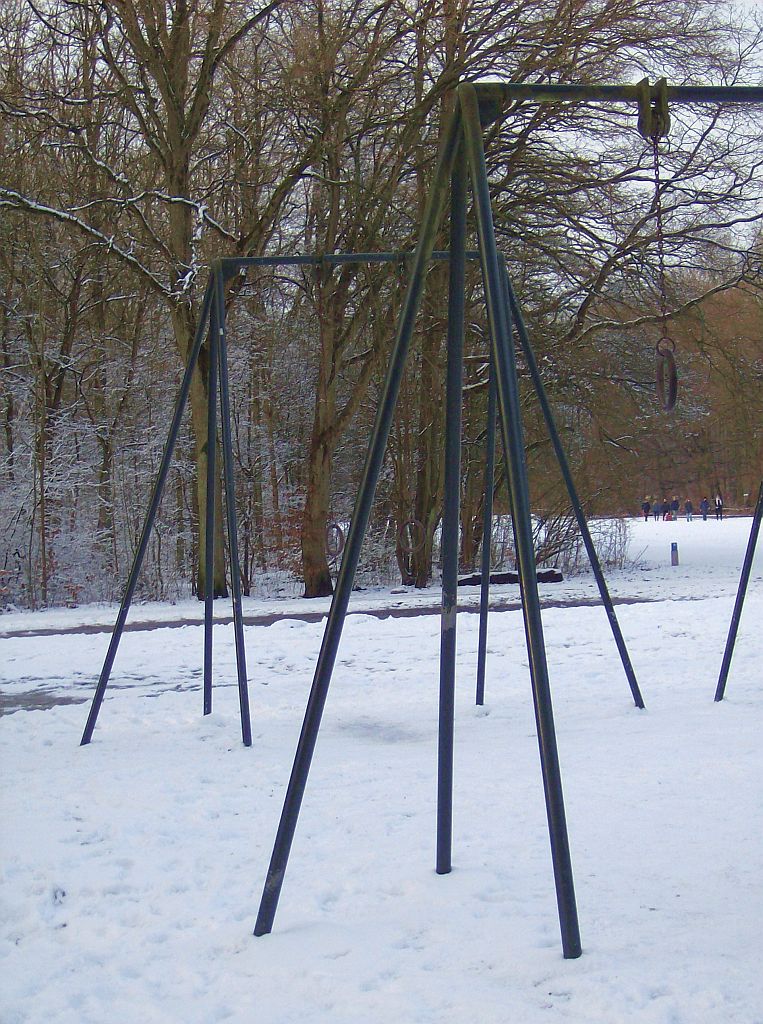 Lindenlaan naar de ringen - Amsterdam