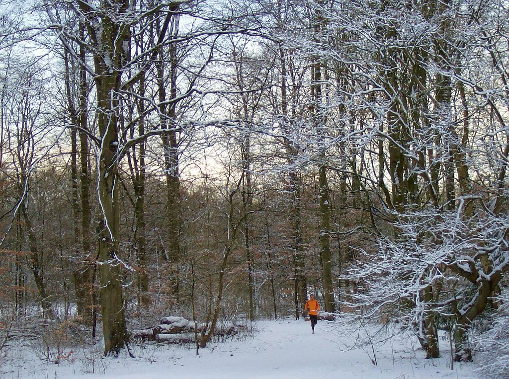 Lindenlaan naar de ringen - Amsterdam