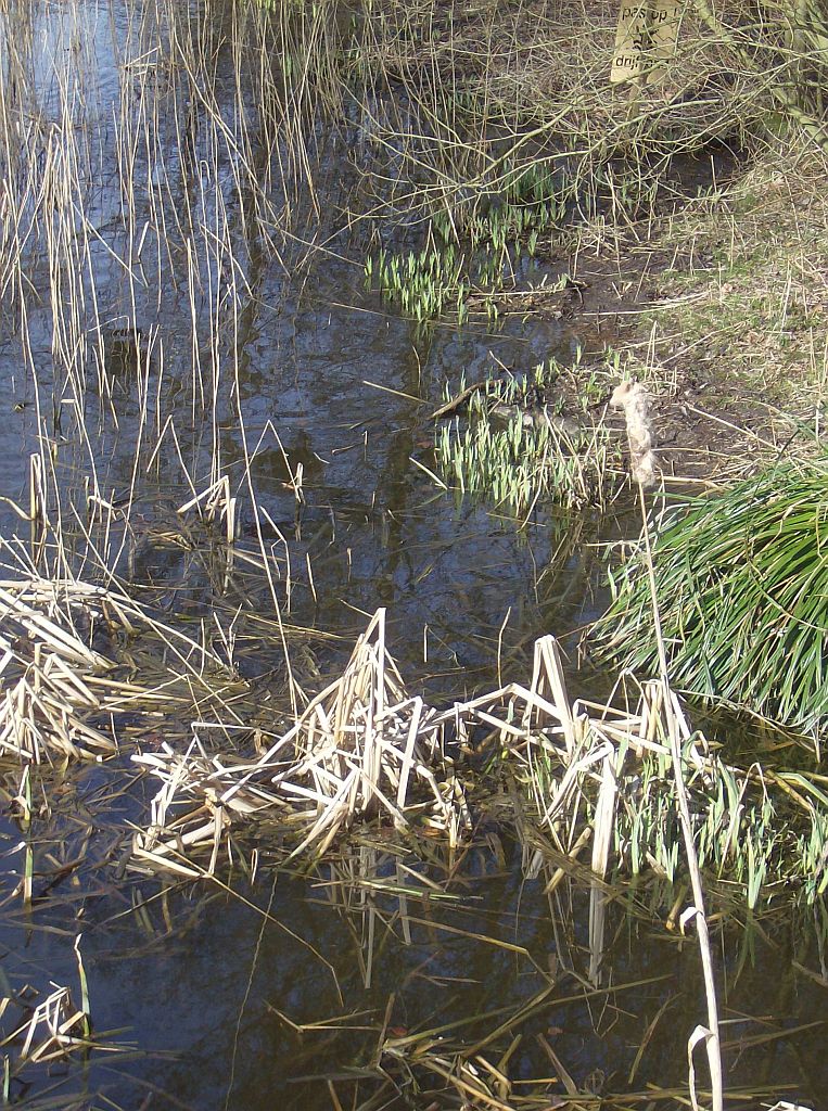 Singel vanaf Brug 551 - Amsterdam
