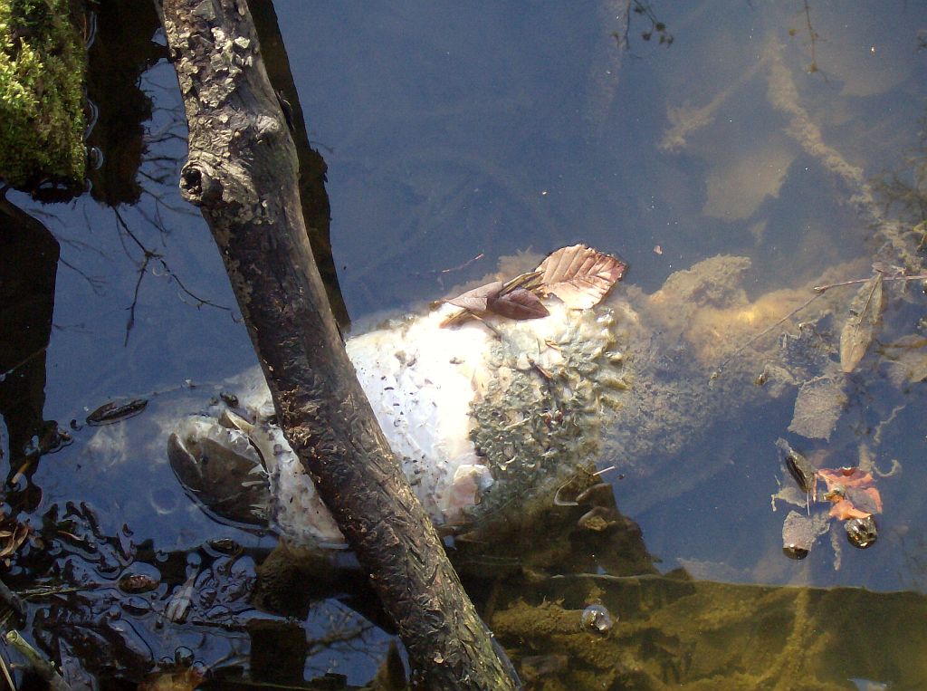 Brug 548 - Amsterdam
