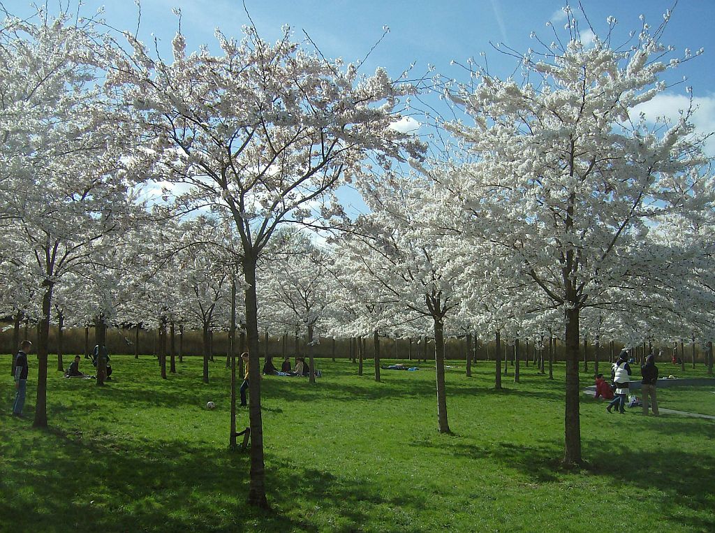 Bloesempark - Amsterdam