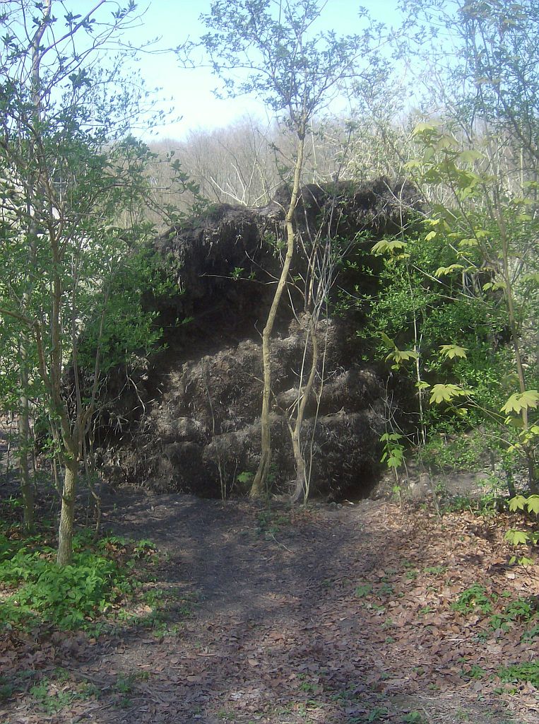 Noordweide - Amsterdam