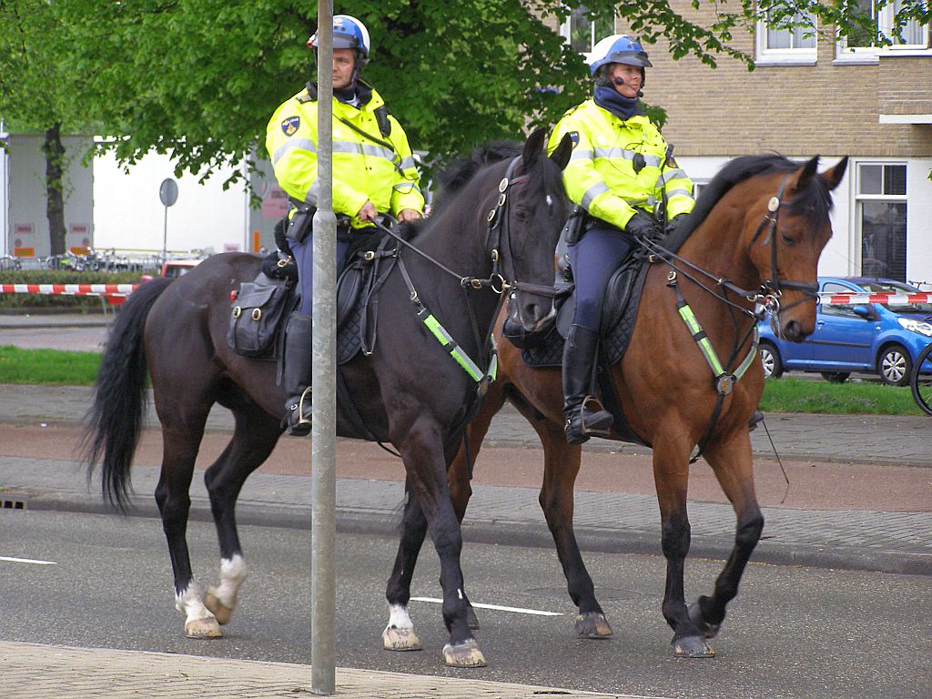 Amstelveenseweg - Amsterdam