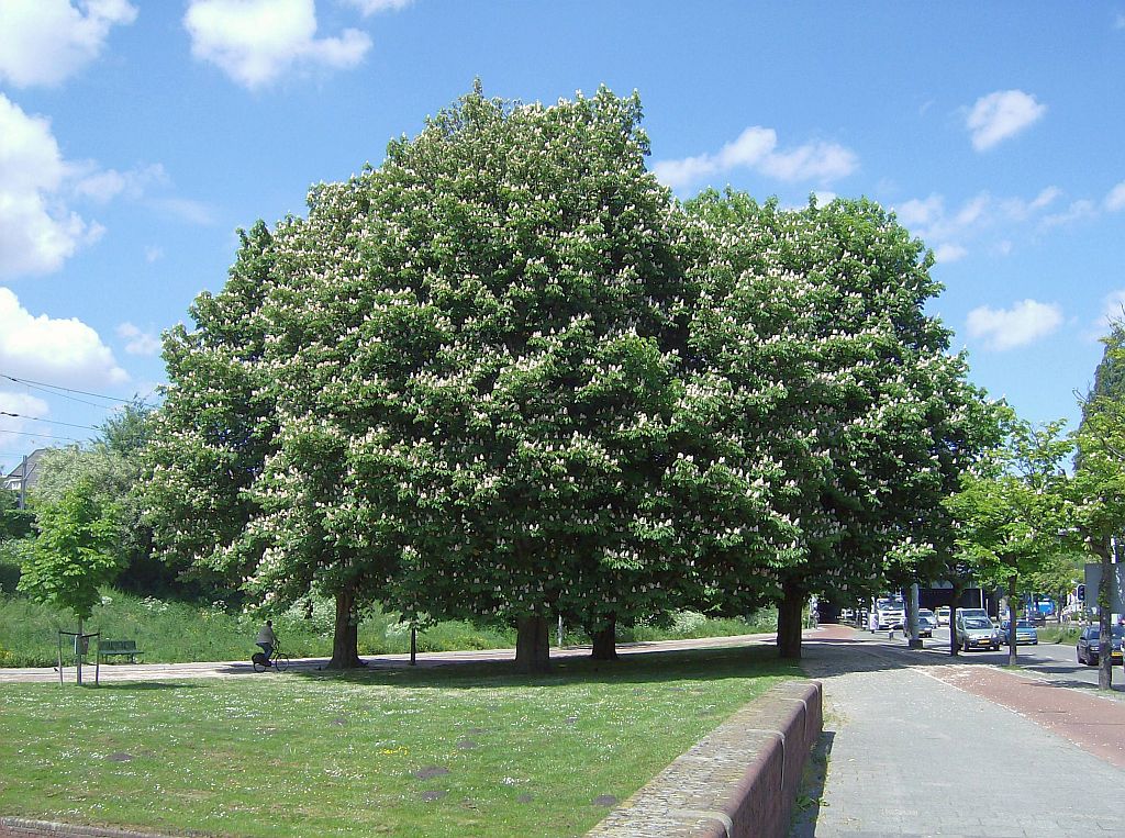 Wibautstraat - Amsterdam