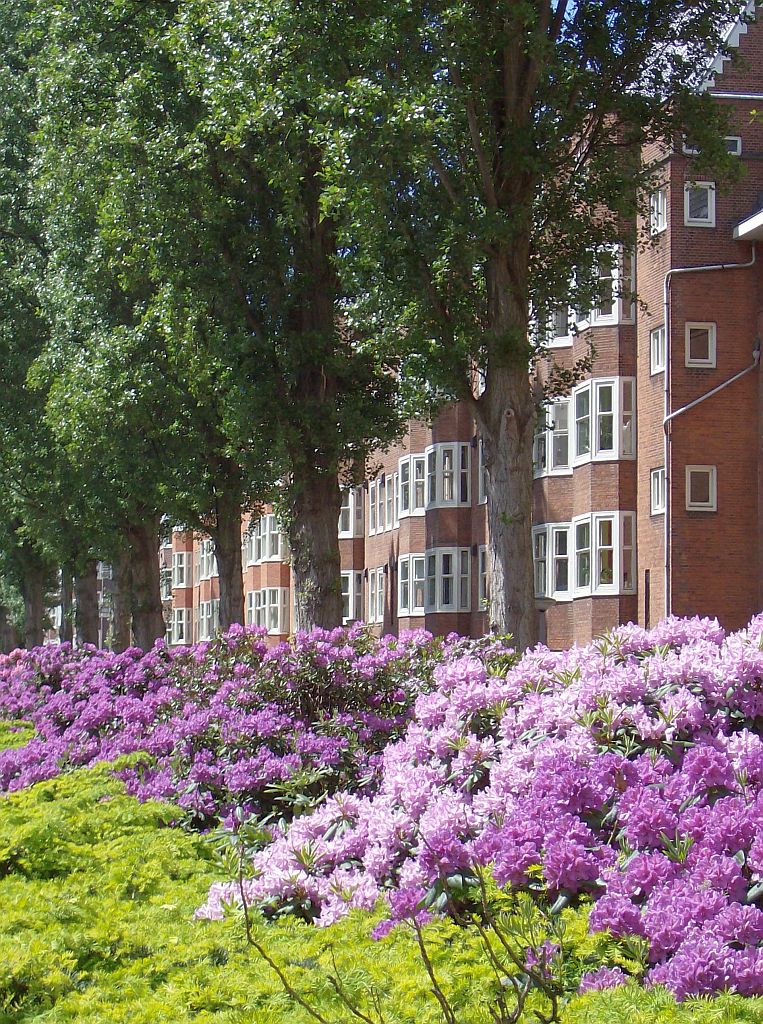 Rooseveltlaan - Amsterdam