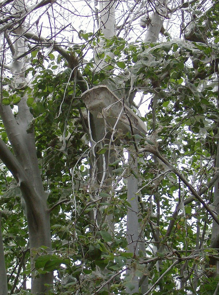 Emmakade - Amsterdam