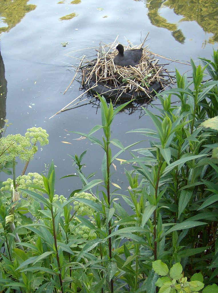 Plantage Muidergracht - Amsterdam