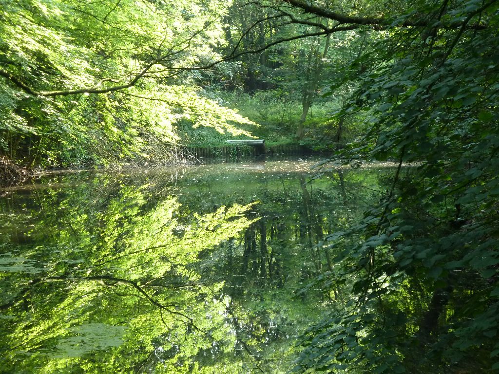 Landscheidingsvaart - Amsterdam