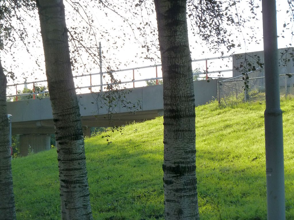 Dalsteindreef - Amsterdam