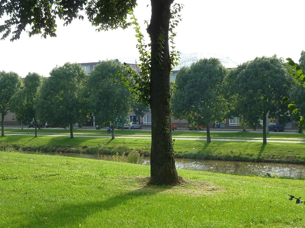 Dolingadreef - Amsterdam