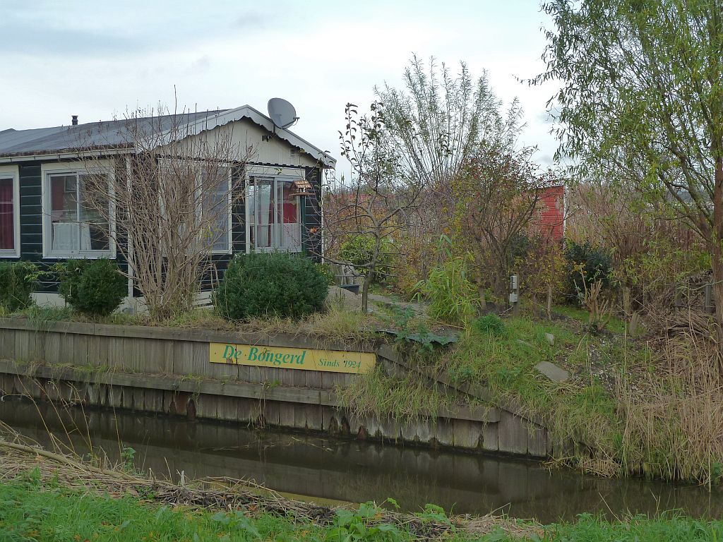 De Bongerd - Amsterdam