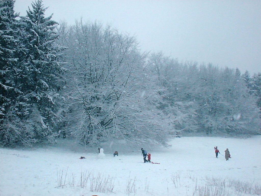 De Heuvel - Amsterdam
