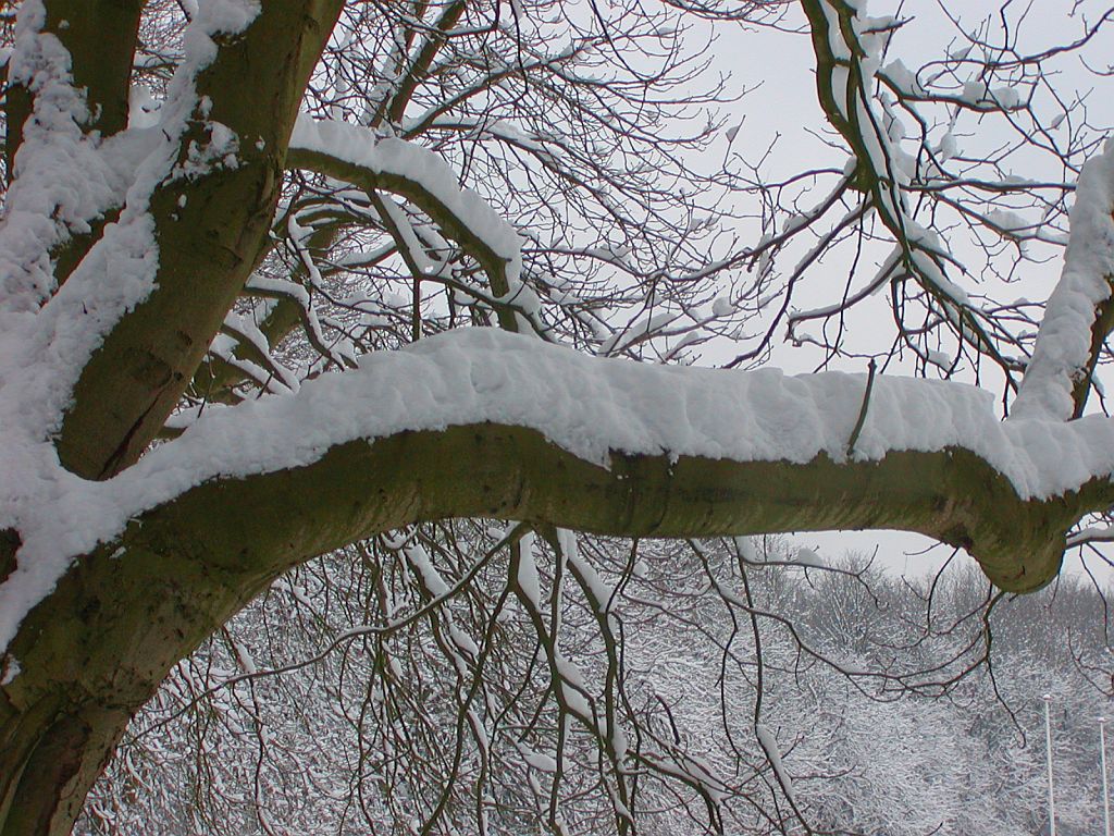 De Arena - Amsterdam