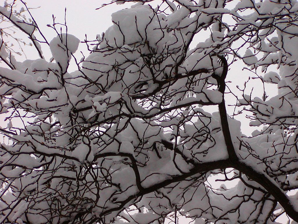 Tussen Klein Kinderbad en Brug 551 - Amsterdam