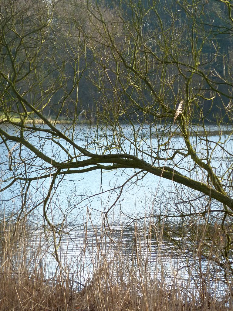 De Kleine Vijver - Amsterdam