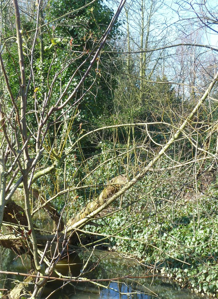 Begraafplaats Huis Te Vraag - Amsterdam