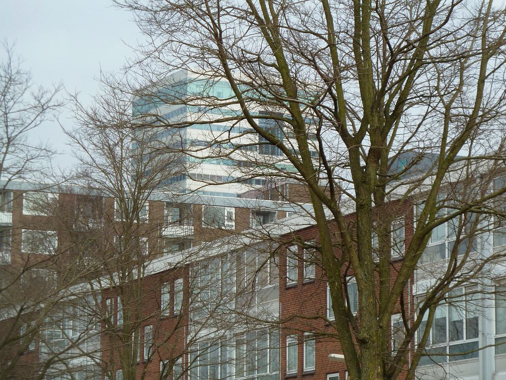 Asingaborg - ITO - Amsterdam