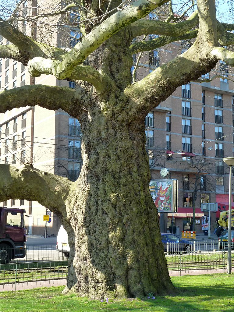 Leidsebosjes - Marriott Hotel - Amsterdam