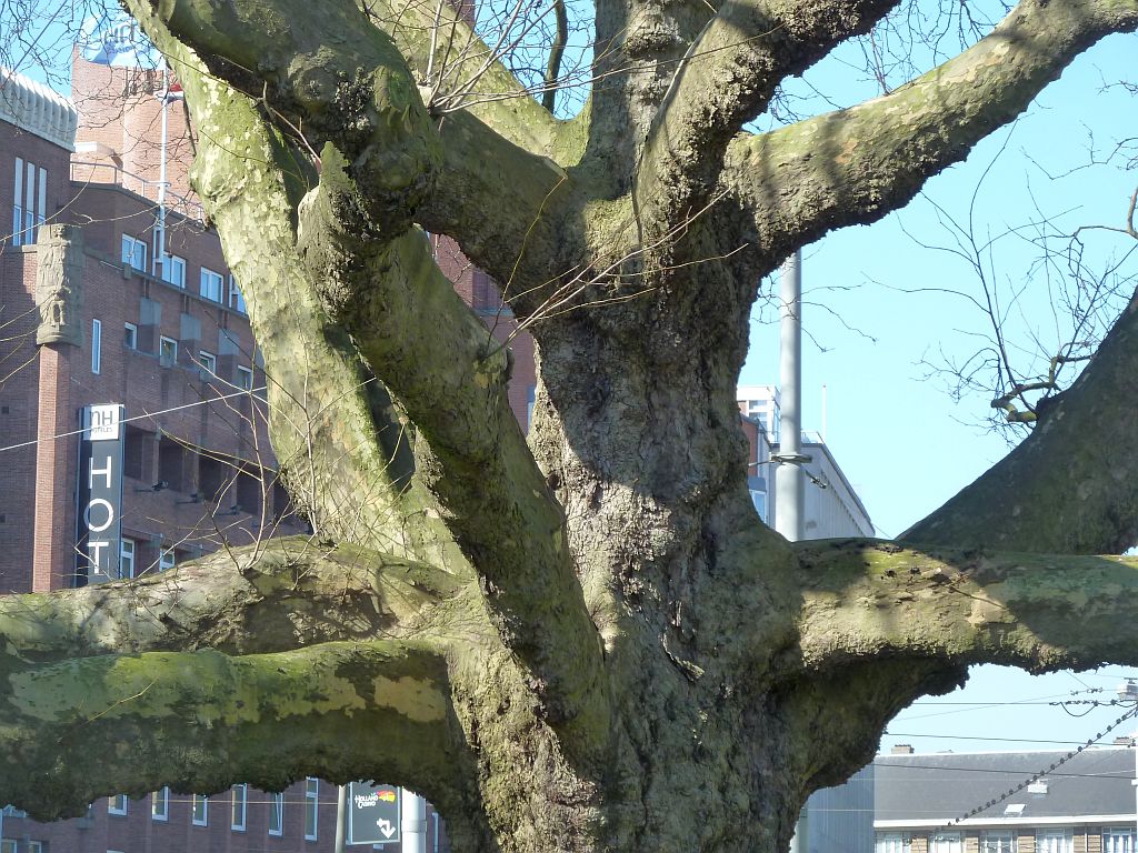 Leidsebosjes - NH Amsterdam Centre Hotel - Amsterdam